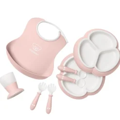 8 Piece Dinnerware Set
