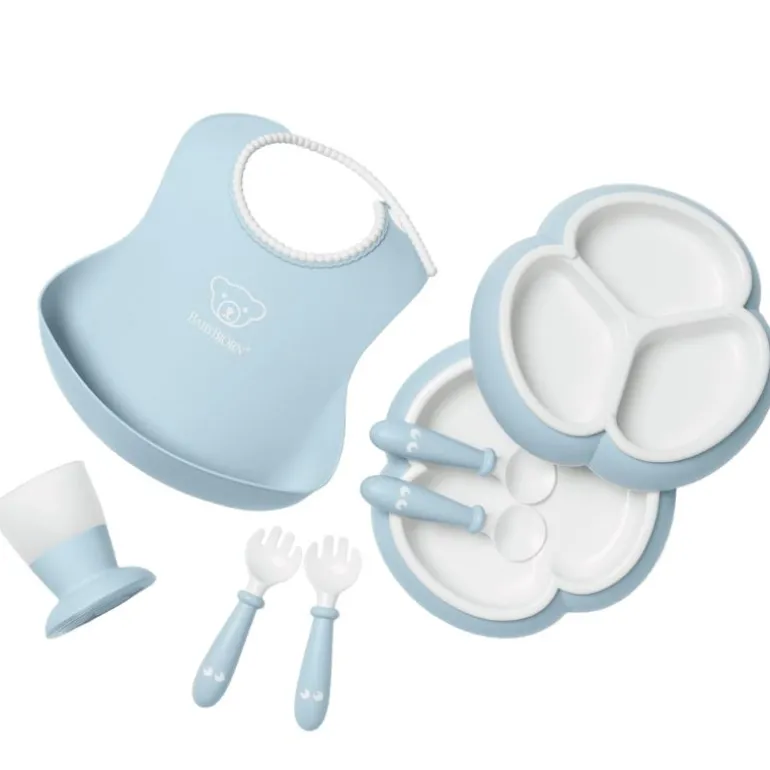 8 Piece Dinnerware Set