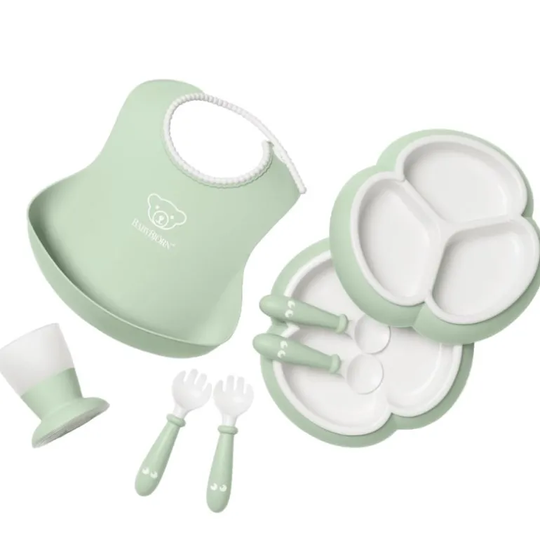 8 Piece Dinnerware Set