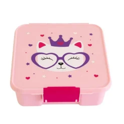 Bento 5 Lunch Boxes