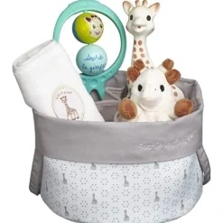 Birth Basket Gift Set
