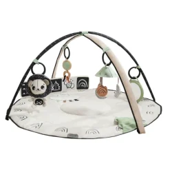 Black & White Décor Classic Developmental Gymini