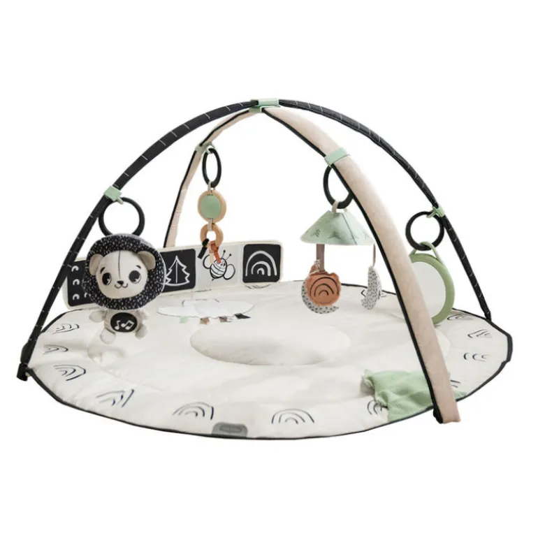Black & White Décor Classic Developmental Gymini