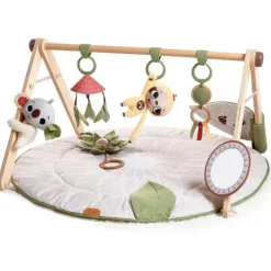 Boho Chic Luxe Developmental Gymini