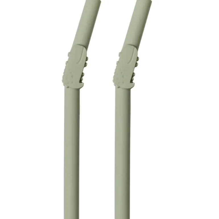 Born to be Wild - 2 Pack Kids Silicone Straws