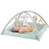 Calm Springs Plush Activity Gym - Chic Boutique