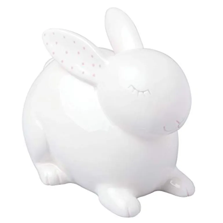 Ceramic Piggy Bank