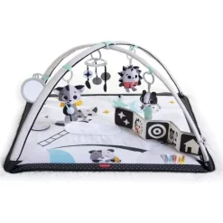 Deluxe Gymini Activity Mat