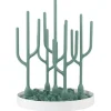 Desert Drying Rack
