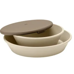 Dinner Plate Set