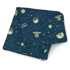 Disney Blanket
