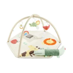 Geometric Wonders Activity Gym