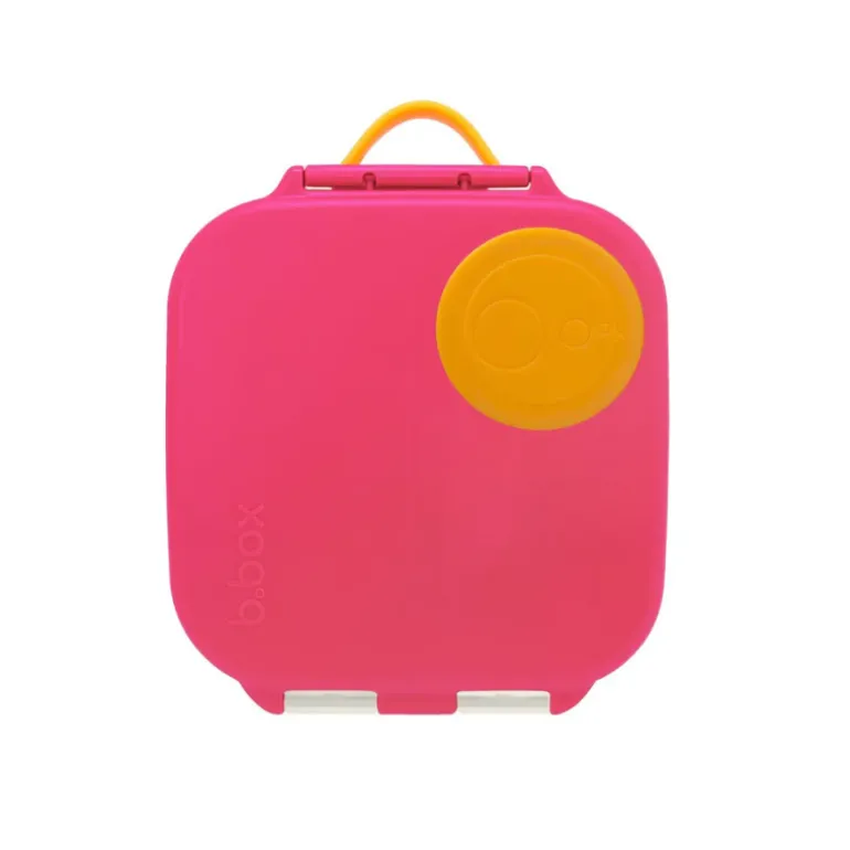 Mini Lunchbox