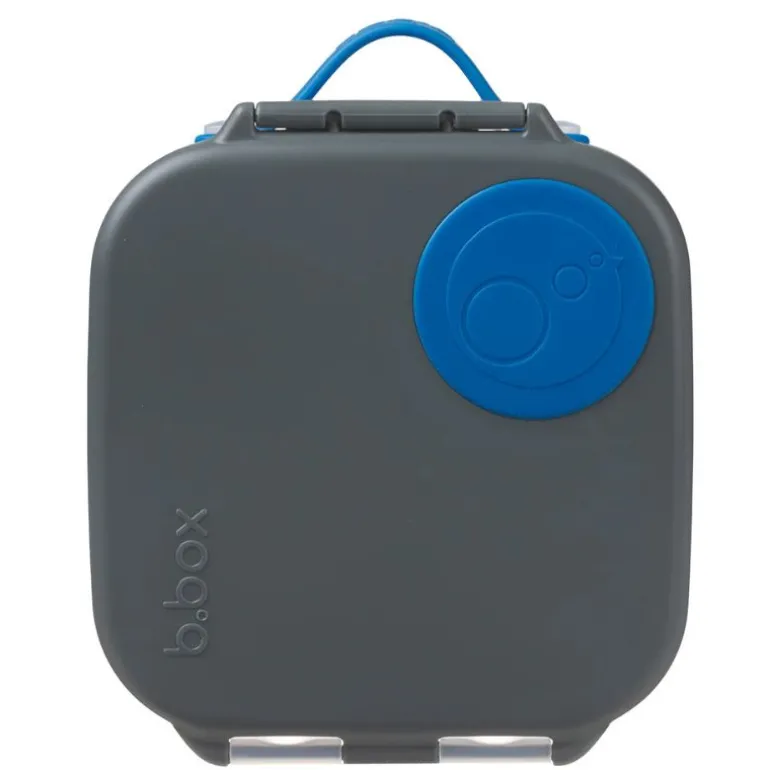 Mini Lunchbox