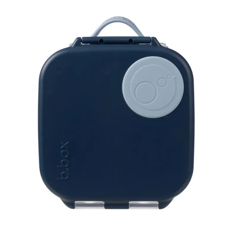Mini Lunchbox
