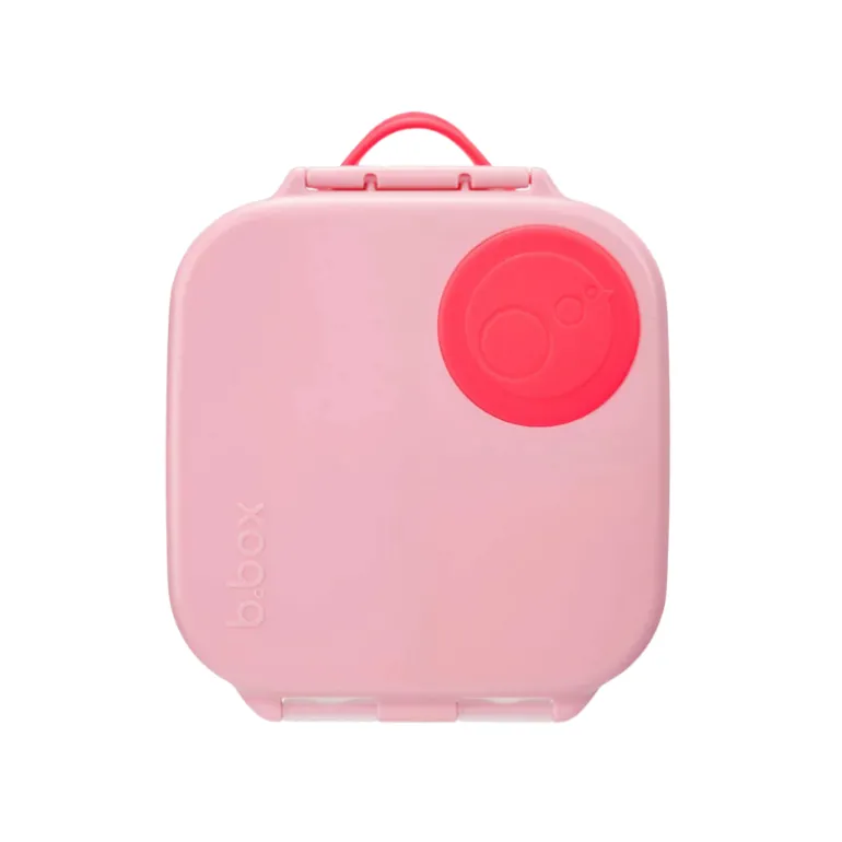 Mini Lunchbox