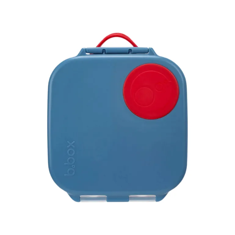 Mini Lunchbox