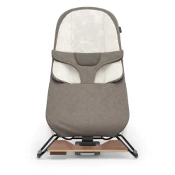 Mira 2-in-1 Bouncer and Seat