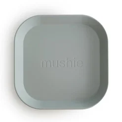Plate Set Square - 2 Pack