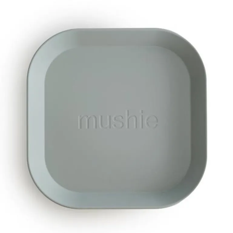 Plate Set Square - 2 Pack