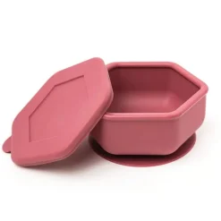 Silicone Bowl and Lid Set