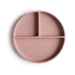 Silicone Suction Plate