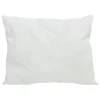 Small White Pillow