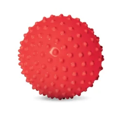 The Original Sensory Ball