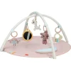 Unicorn Wonderlands Developmental Gymini