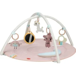 Unicorn Wonderlands Developmental Gymini