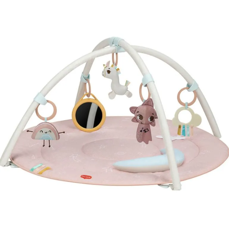 Unicorn Wonderlands Developmental Gymini
