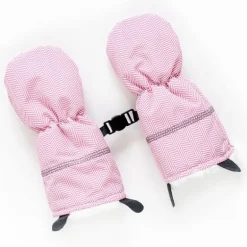 Winter Mitts